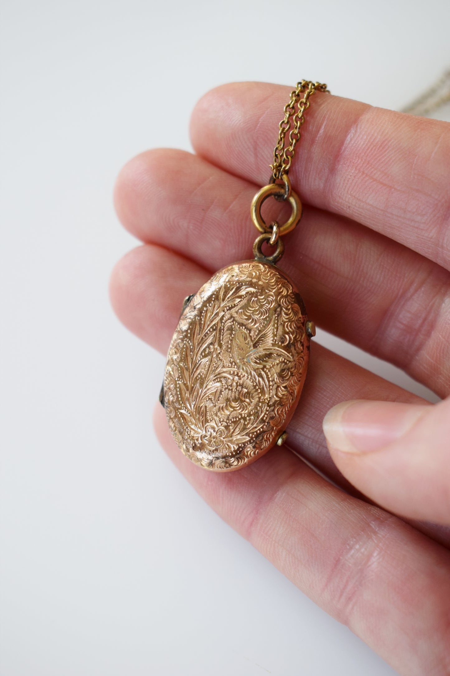 Victorian Song Bird Gold Fill Photo Locket on Fancy Chain