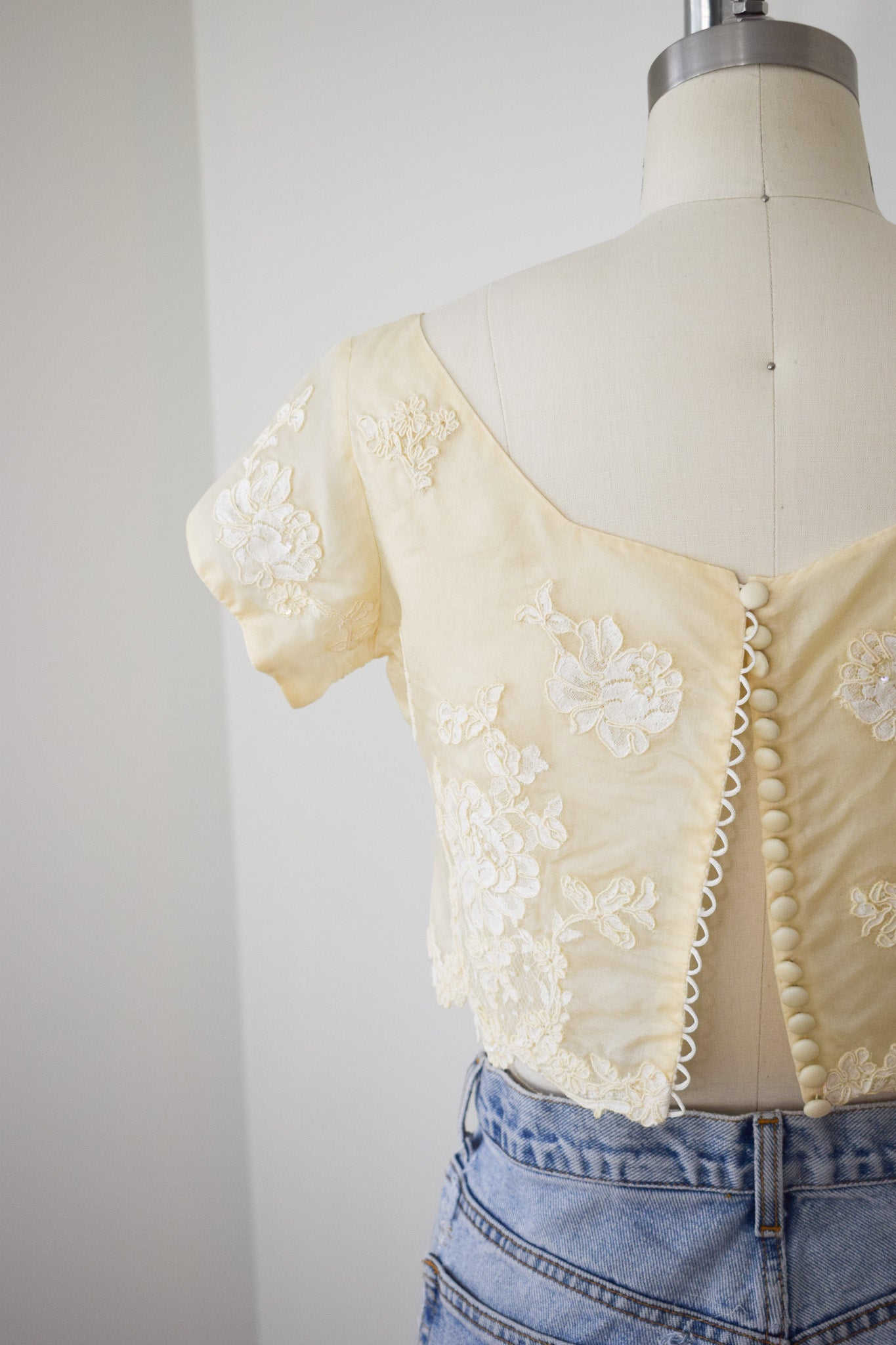 Vintage Silk and Lace Organza Crop Top | XS