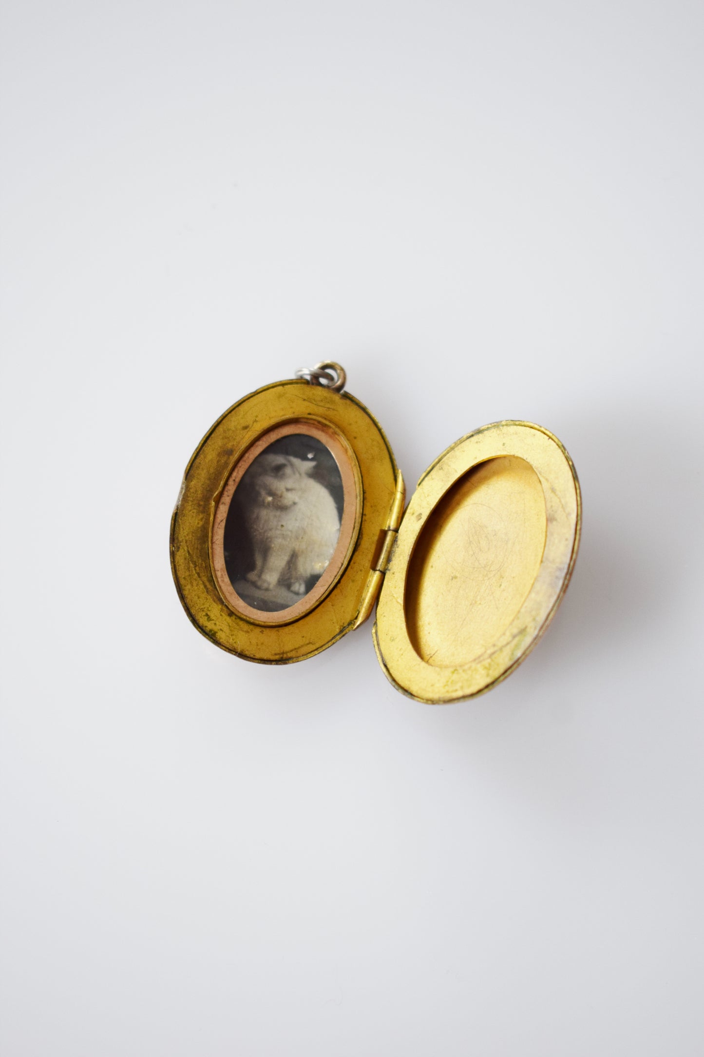 Antique Lady in the Moon Locket