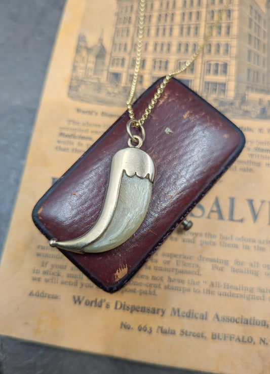 Victorian Gold-Wrapped Claw Pendant