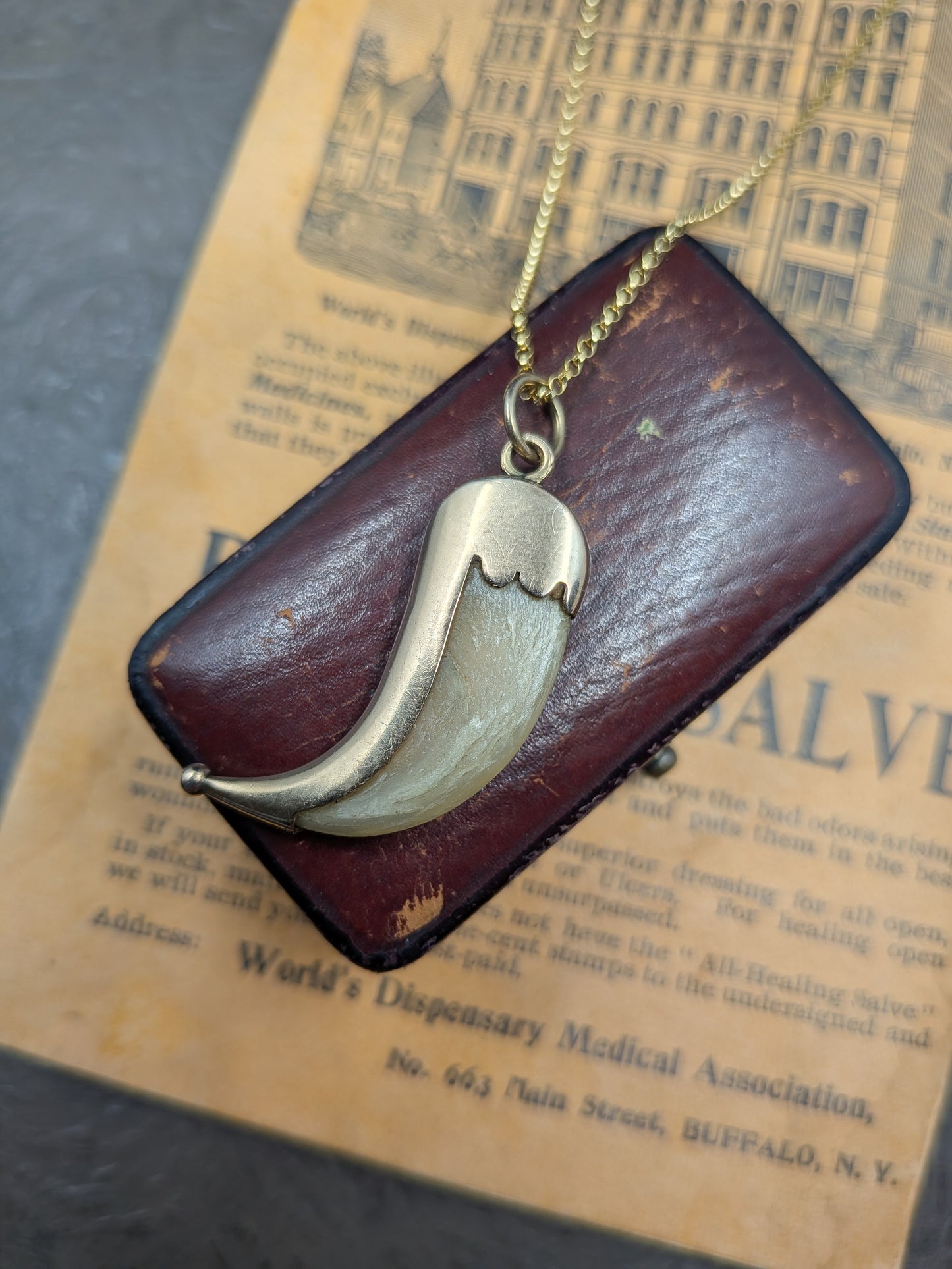 Victorian Gold-Wrapped Claw Pendant