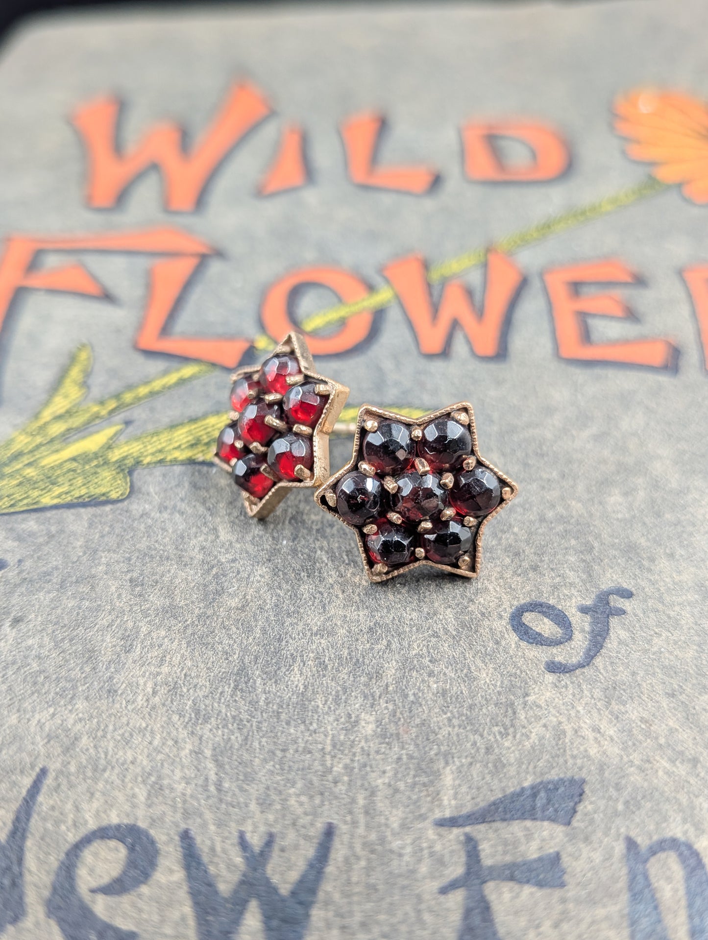 Antique Gold and Garnet Star Earrings