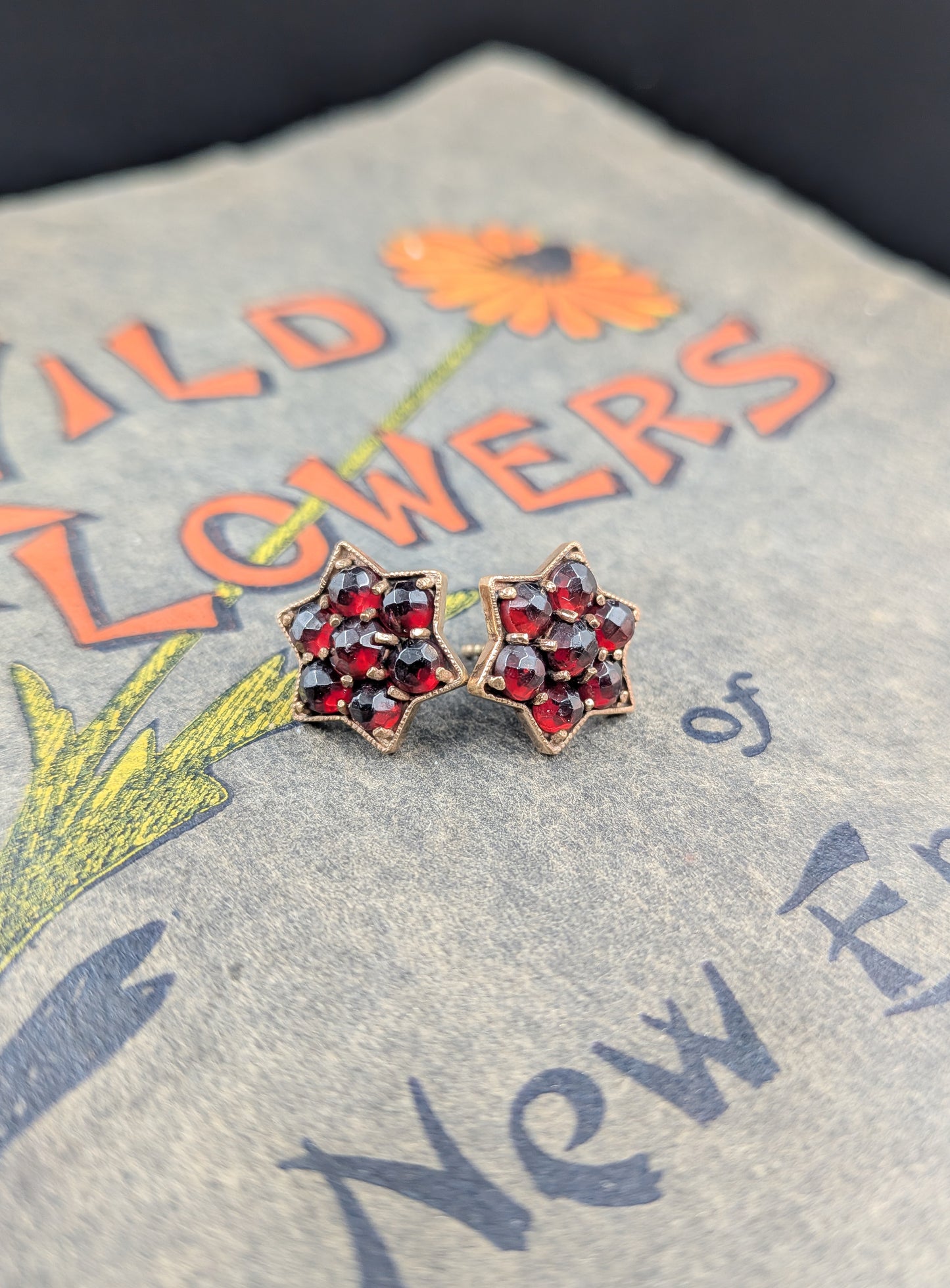 Antique Gold and Garnet Star Earrings