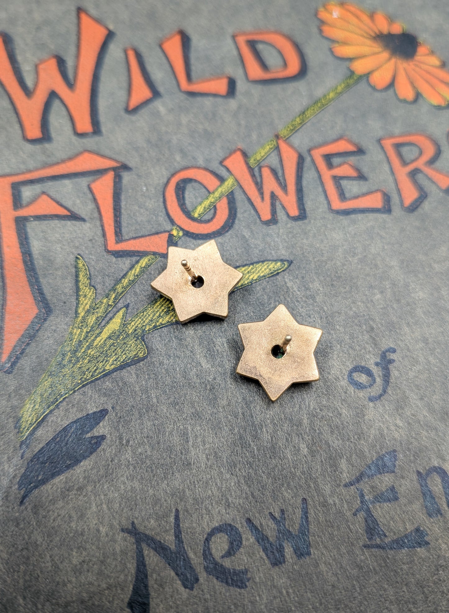 Antique Gold and Garnet Star Earrings
