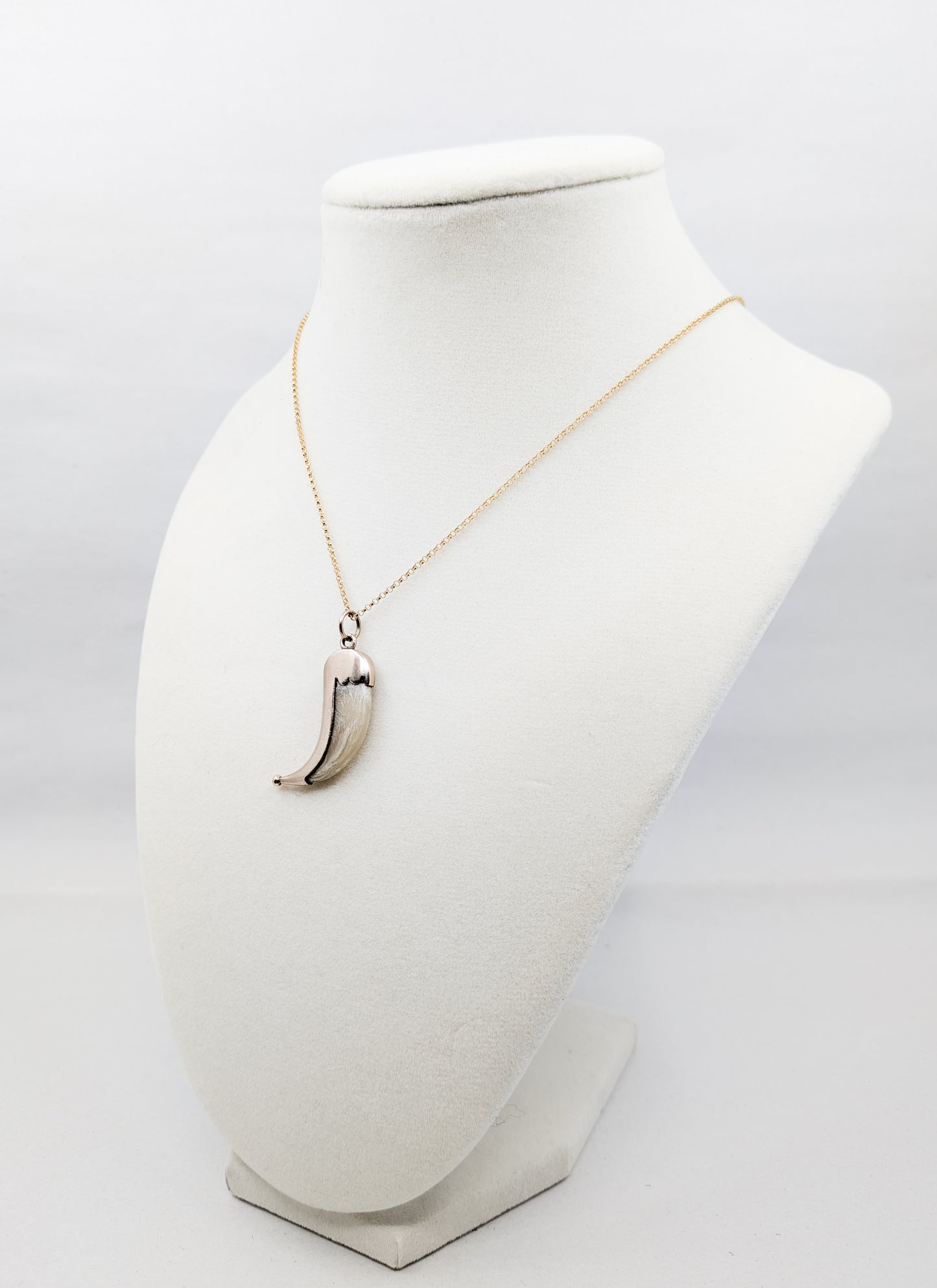 Victorian Gold-Wrapped Claw Pendant
