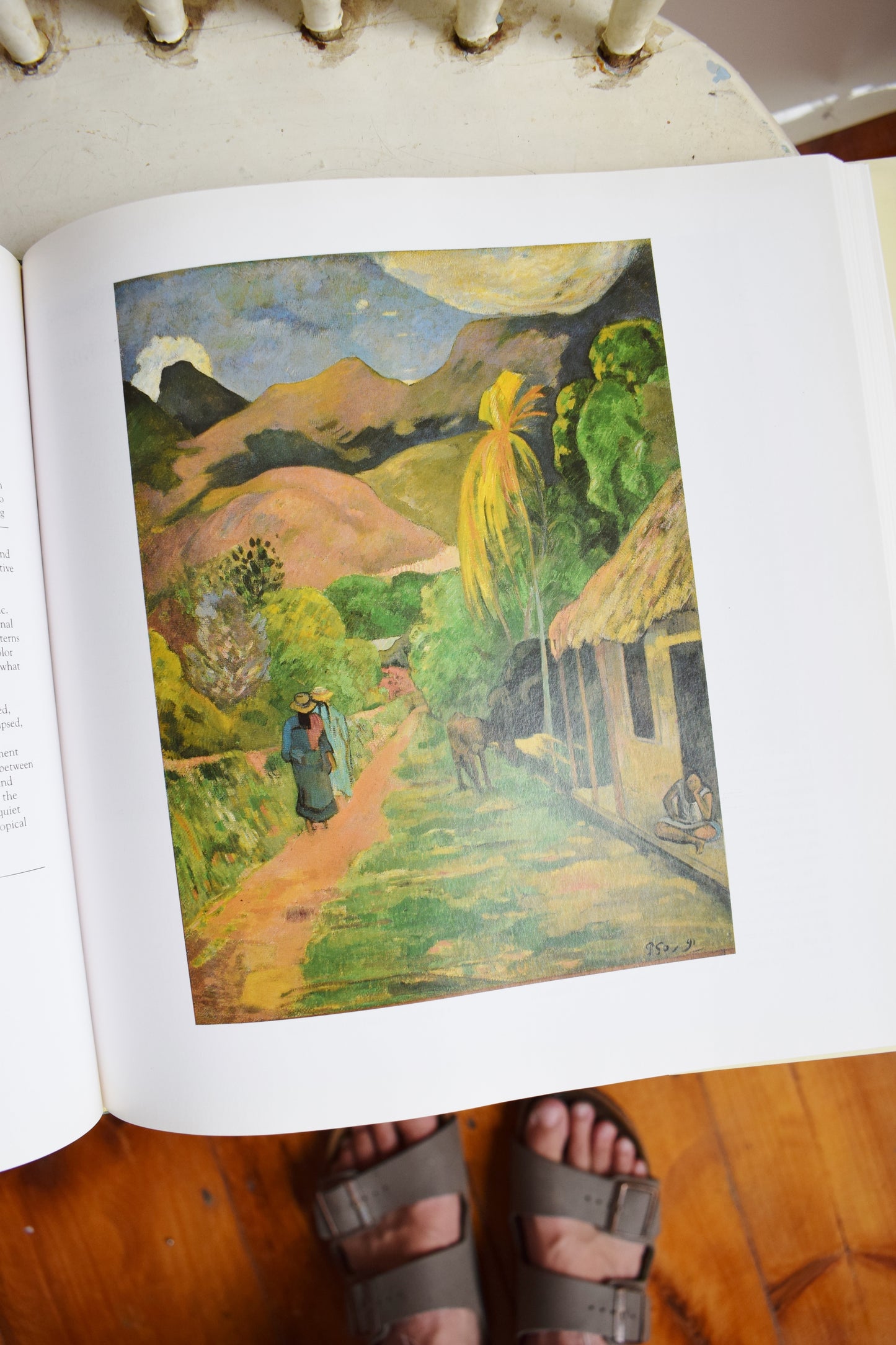 Art Book: Impressionism: Selections from Five American Museums