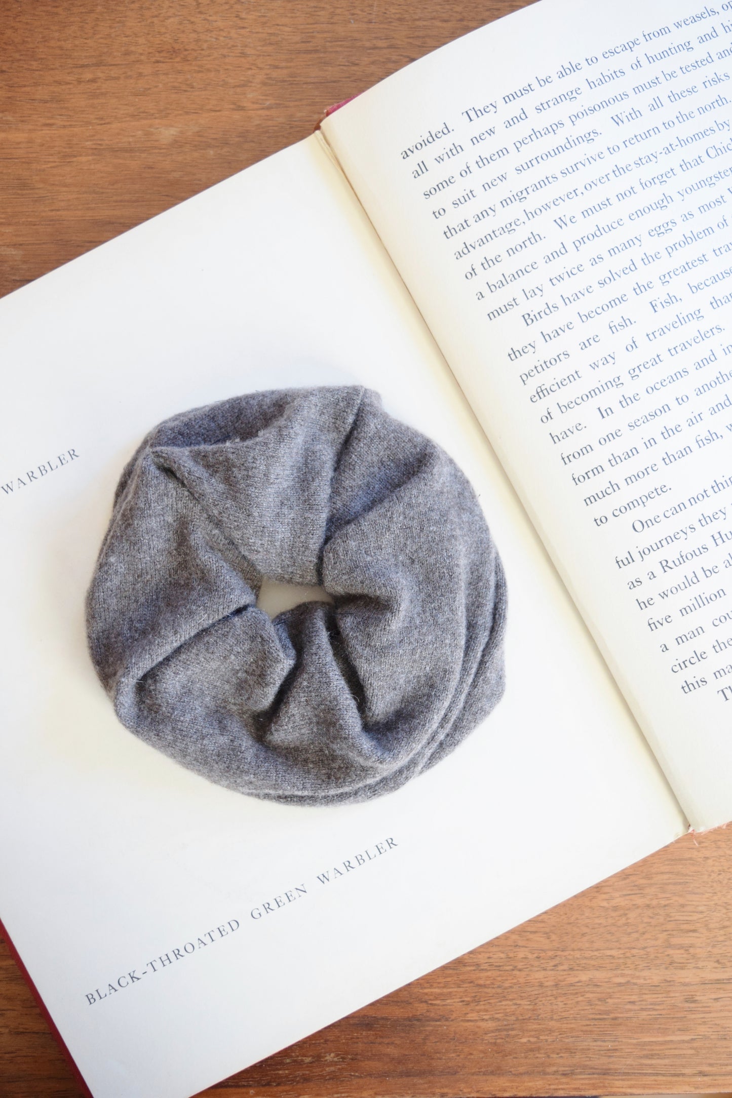 XLarge Cashmere Hair Tie in Fawn | Upcycled Scrunchie