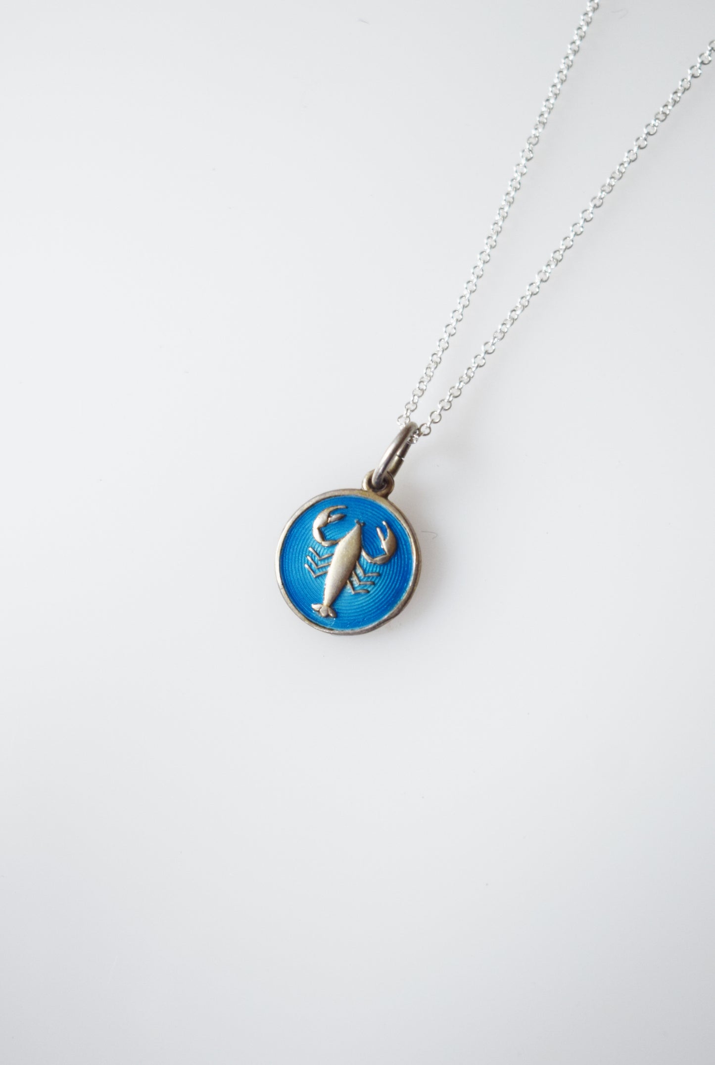 Vintage Sterling and Enamel Scorpio Charm Necklace